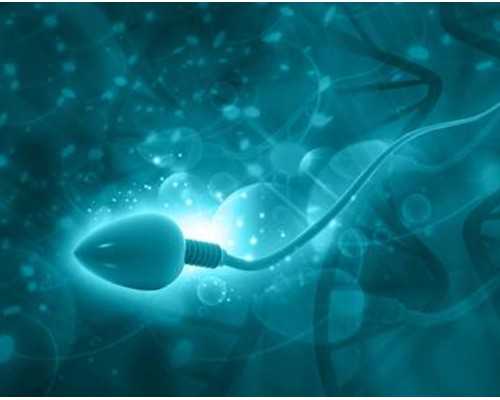 双胞胎姐妹同专业同宿舍，网友惊呼这才是真正的姐妹花