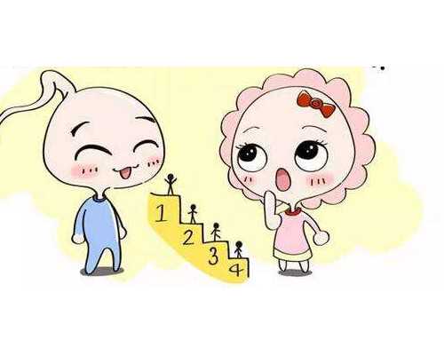 找私人需要代妈的_做深圳助孕试管婴儿会遇上哪些骗局