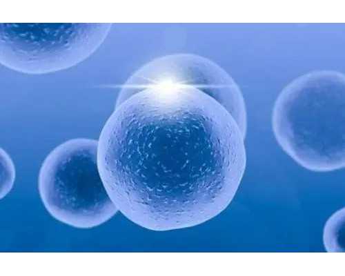 最新个人找代妈_孕前吃什么 孕前好孕汤有效助孕