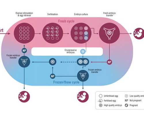 代妈三附院试管找哪个医生？