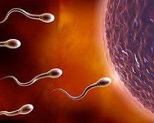 正规代妈机构_自然受孕代妈的故事_中国试管助孕机构排名？国内十大助孕机构