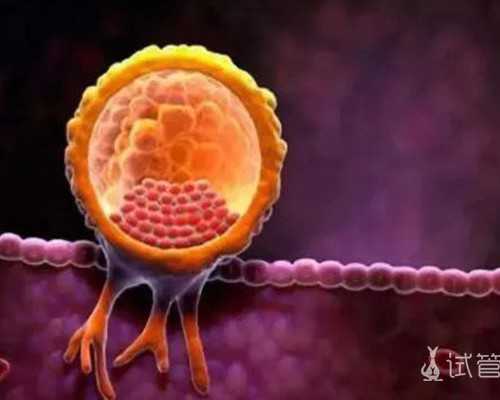 自然受孕代妈被骗_乌克兰助孕多囊卵巢做试管婴儿的成功率高不高