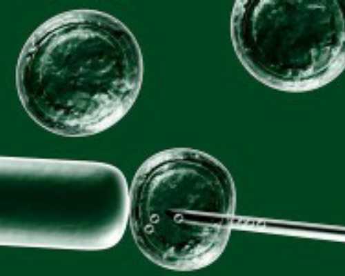 2024上海三代试管借卵代怀生男孩单周费用明细一览：第三方助孕价格明细一览