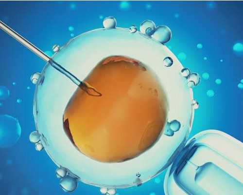 为什么海外做试管婴儿是冻胚移植呢？与鲜胚移植有什么区别？