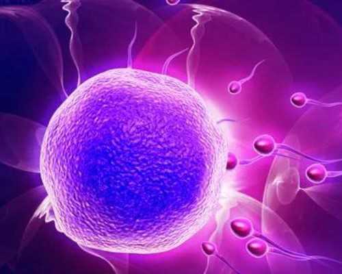 真心个人找代妈不要中介_河南姐妹看看你适合做日本试管婴儿助孕吗?