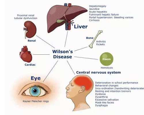试管移植第2天出血不代表失败！安心保胎才能“好孕”