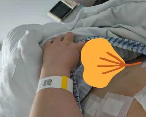 试管婴儿：囊胚冷冻的意义与技术优势解析