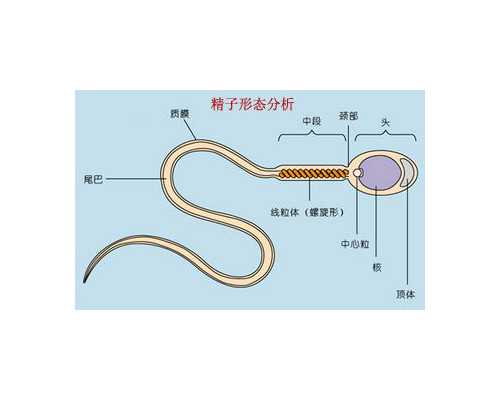 艾滋病检查呈阳性怎么办
