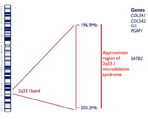 人工授精体内，试管体外，助孕大不同