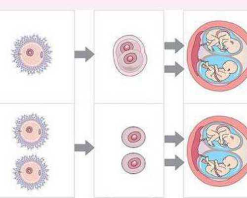 找自然受孕代妈公司_找代妈注意事项_【成都供卵费用 成都供卵试管助孕】备孕