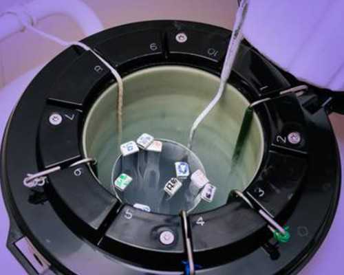 找试管代妈AA69不错_找没生过孩子的代妈_赴美国做试管移植后怎么做,助孕率高