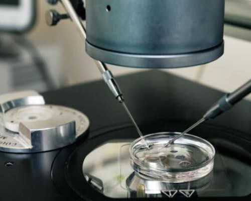 自然代妈的自述_人工授精医院大全助孕成功率对比，10家成功率高的医院。