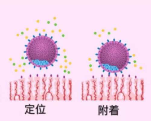 天津供卵试管怀孕了_多吃粗粮 宝宝牙齿更漂亮
