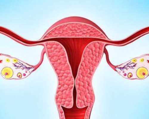 自然代妈订金_廊坊哪个医院能做助孕试管婴儿？