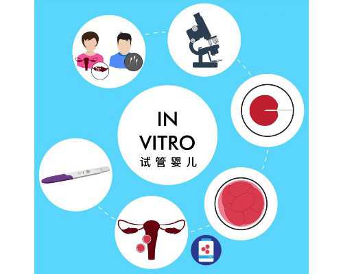 也排卵就是怀不上是什么原因