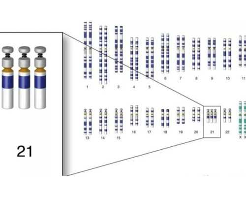 2024急找重庆代妈 2024重庆私立供卵机构排名大全 ‘五个月四维彩超女孩男孩生
