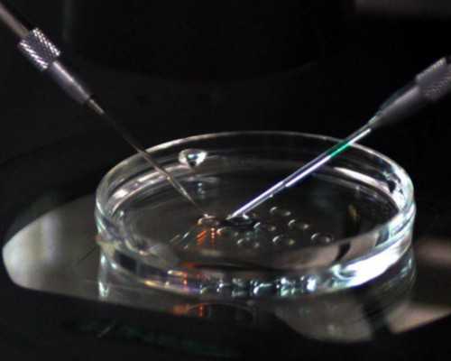 北京306医院生殖中心借卵生男孩费用预估3-12万元?_找代孕去哪家医院-代妈代孕