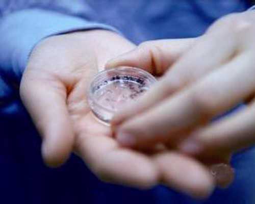 女版勃锐精有能帮助受孕的功效吗？