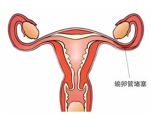 宁波906医院试管怎么样？附2022年试管成功率和费用