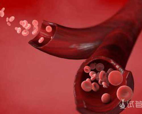 自然代妈微信群_孕前男女助孕食谱大宝典