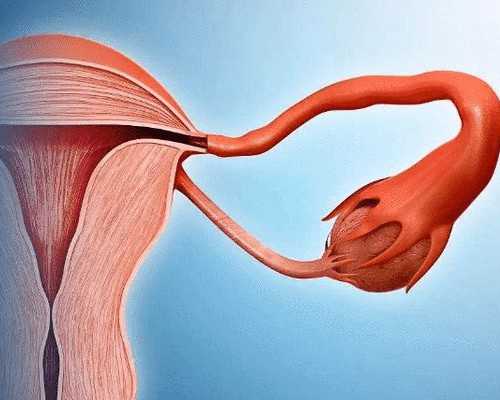 代妈试管费用报销表,代妈三附院三代试管费用详解，2024大约要多少钱不迷茫