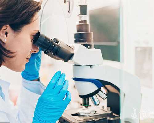 自然受孕代妈多少钱_找国内代妈_重庆助孕试管婴儿一些常见误区