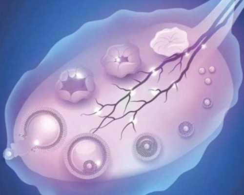 正规公司高薪招聘代妈联系方式_备孕二胎想生一个男孩，在巩义市能做助孕试