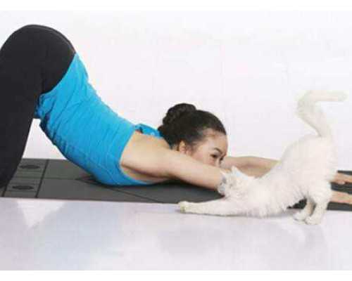 囊胚移植10天试纸很淡有六大原因，弱阳颜色不加深要警惕