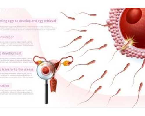 2024代妈试管三代助孕生男孩最新收费,代妈经开区将试点三胎孕产妇生育全过程
