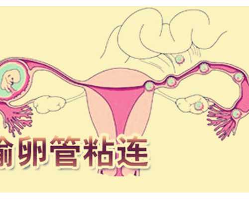 2022年福州市正规民营供卵机构排名推荐