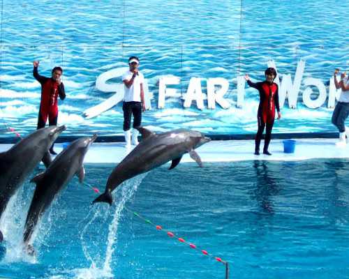 知名世纪代妈公司_在什么情况下，考虑人工授精的方式来助孕呢？