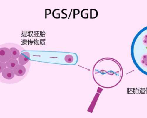 助孕代妈介绍所_备孕女性的养颜助孕燕窝餐有哪些