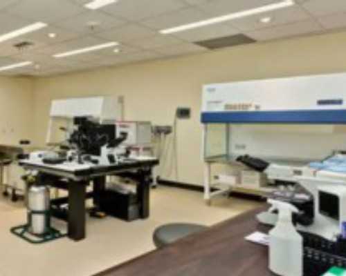 找代妈_做深圳助孕试管婴儿有必要筛查染色体吗