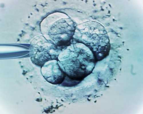 男人吃精氨酸会有什么副作用吗？