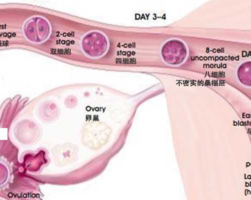 产后恶露，关乎子宫健康，你想知道的都在这里！