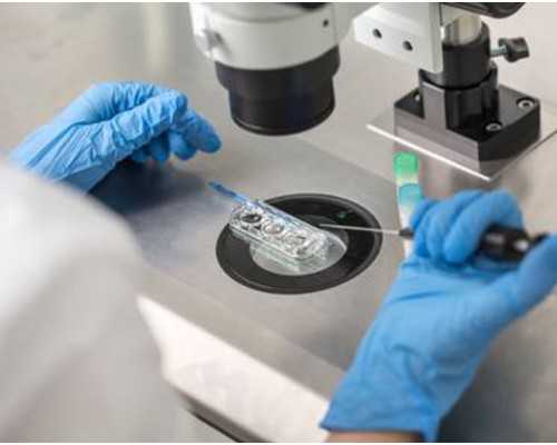 找试管代妈必选AA69_找个自然代妈要多少钱_马上揭开武汉助孕试管婴儿取卵手术