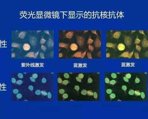 天津南方代孕-代孕女子的价格_培养孩子时间观念 从生活小事开始