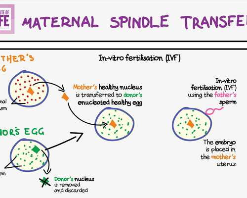 最可靠的代妈招聘公司_精子畸形率高，在甘肃天水做助孕试管婴儿成功率高吗