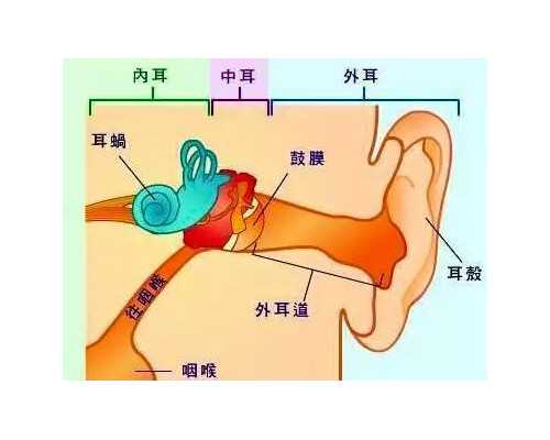 正规代妈_试管婴儿助孕的流产率有多高