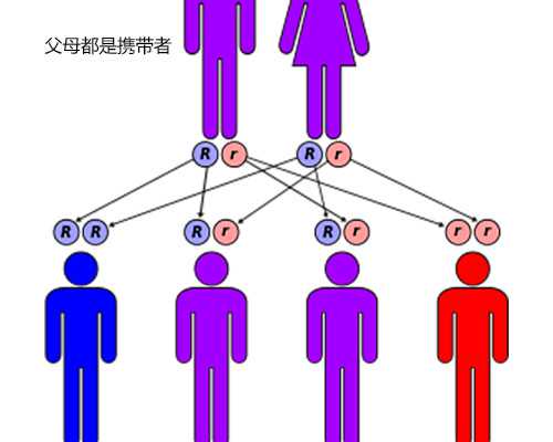 死精症能做人工受精吗
