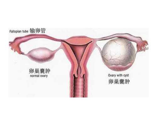 同济医院即日起全面进入代妈市医保,代妈2月起将实施房地产新规：炒作学区房