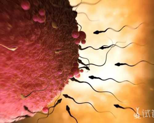 找试管代妈找AA69放心_多吃油菜薹能“助孕”？油菜薹怎么做好吃