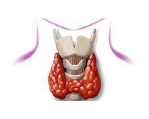 天津代生能拿多少钱_好育儿嫂保姆是这样炼成的