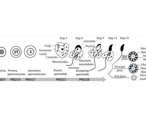 代妈宁儿妇产医院全球招聘377个岗位虚席以待