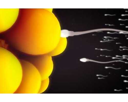 重庆最新代妈 重庆市妇幼保健院第三代试管包生男孩价格多少? ‘做了四维看男