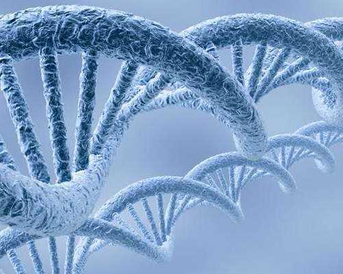 自然受孕代妈是什么_中国正规招聘代妈_输卵管性不孕是否会影响试管婴儿助孕