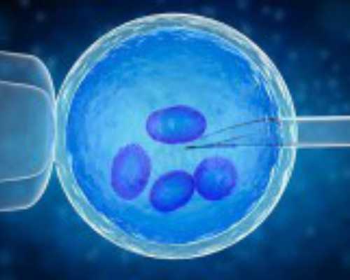 中国每年通过代妈生出的孩子有多少_俄罗斯试管婴儿，助孕方案的重要性