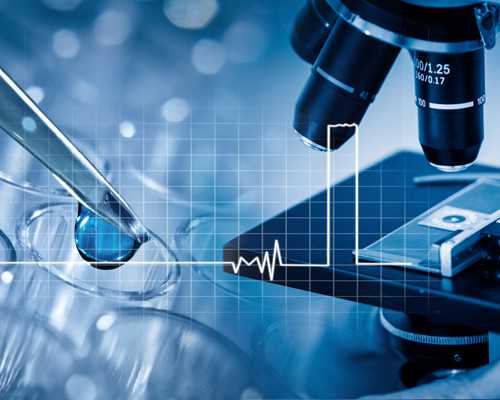 备孕发现子宫内膜太薄，吃什么比较好？