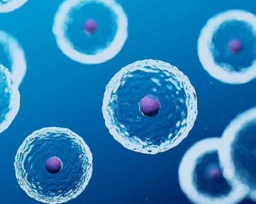 整个孕期都是哭过来的会有影响吗？