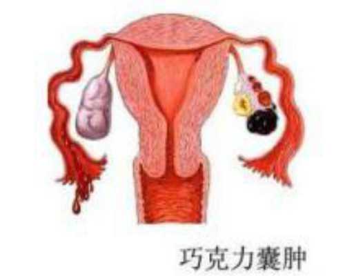 天津公立医院供卵要求-有没有代孕的中介联系方式_1分钟科普宝宝游泳呛水怎么